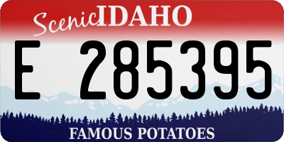 ID license plate E285395
