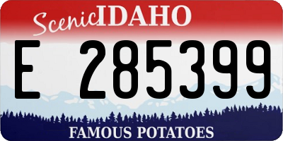 ID license plate E285399