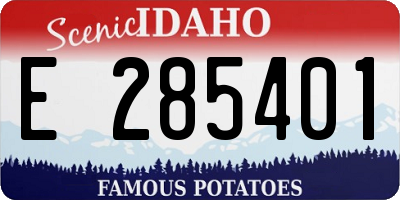 ID license plate E285401