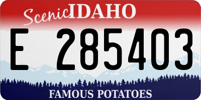 ID license plate E285403