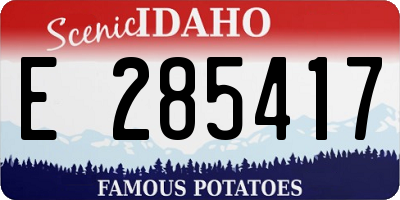 ID license plate E285417