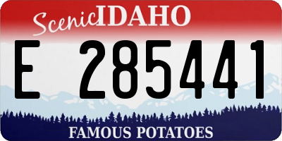 ID license plate E285441