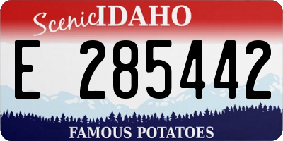 ID license plate E285442