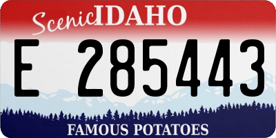 ID license plate E285443