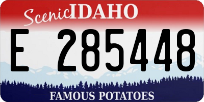 ID license plate E285448