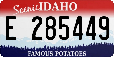 ID license plate E285449