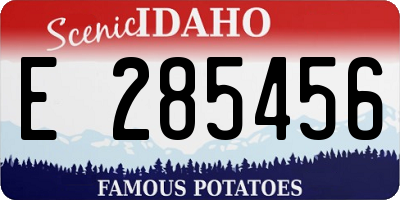 ID license plate E285456