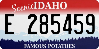 ID license plate E285459
