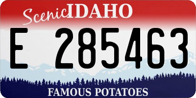 ID license plate E285463