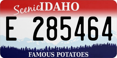 ID license plate E285464
