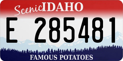 ID license plate E285481