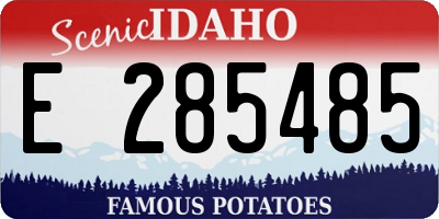 ID license plate E285485
