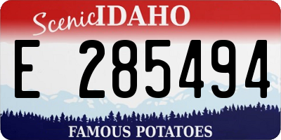 ID license plate E285494