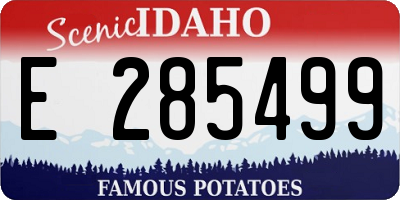 ID license plate E285499