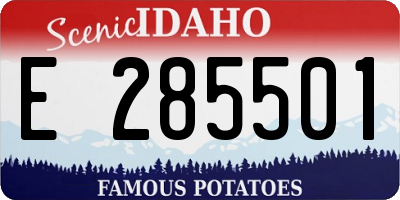 ID license plate E285501
