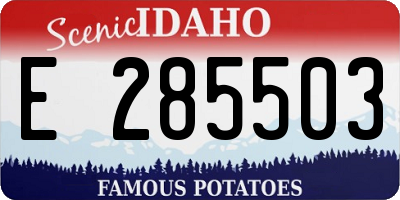 ID license plate E285503