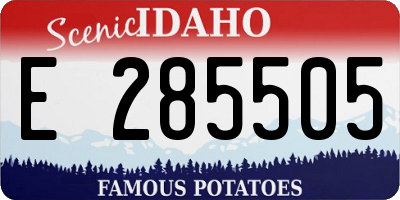 ID license plate E285505