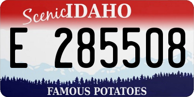 ID license plate E285508