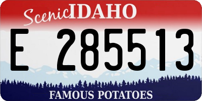 ID license plate E285513