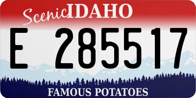 ID license plate E285517