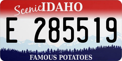 ID license plate E285519
