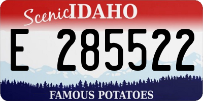 ID license plate E285522