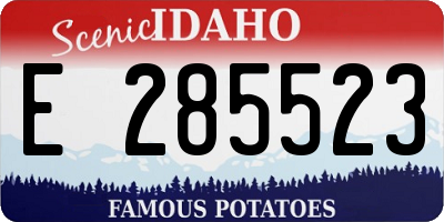 ID license plate E285523
