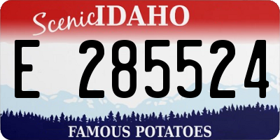 ID license plate E285524