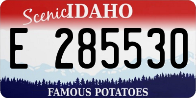 ID license plate E285530