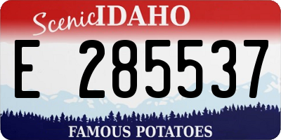 ID license plate E285537