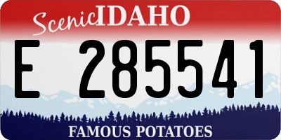 ID license plate E285541