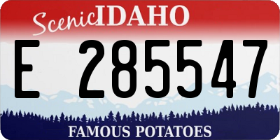ID license plate E285547