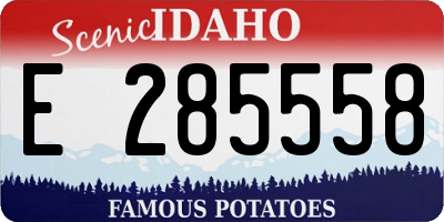 ID license plate E285558