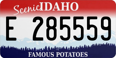 ID license plate E285559