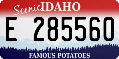 ID license plate E285560