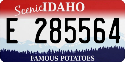 ID license plate E285564