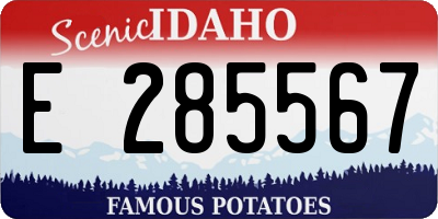 ID license plate E285567