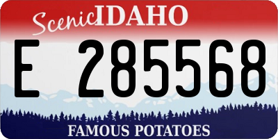 ID license plate E285568