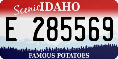 ID license plate E285569
