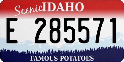ID license plate E285571