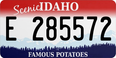 ID license plate E285572