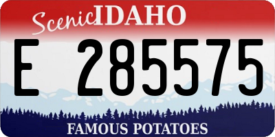 ID license plate E285575