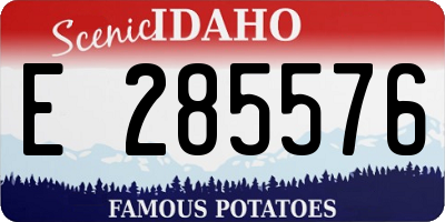 ID license plate E285576