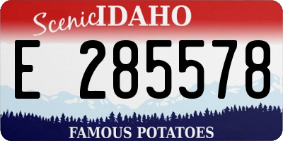 ID license plate E285578