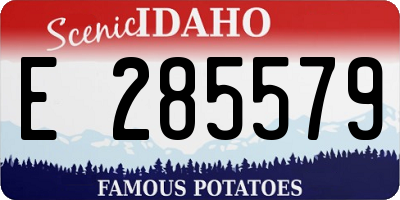 ID license plate E285579