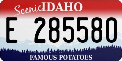ID license plate E285580