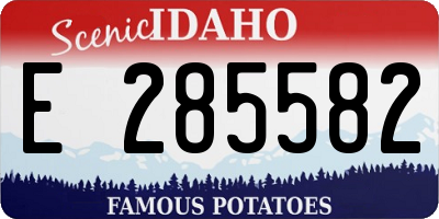 ID license plate E285582