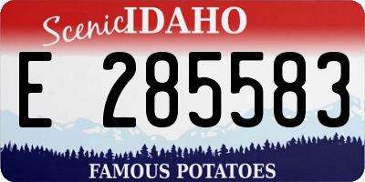 ID license plate E285583