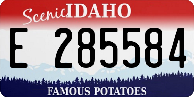 ID license plate E285584