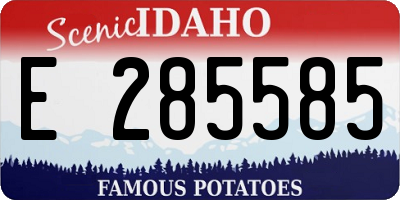 ID license plate E285585